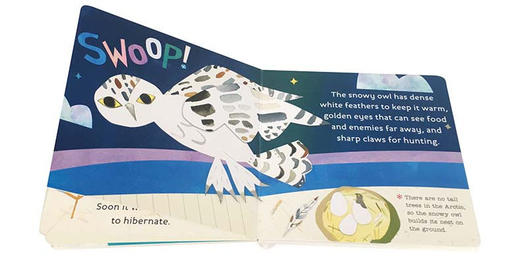 你好科学小世界 北极动物 英文原版 Hello World Arctic Animals 幼儿英语启蒙认知纸板书 知识科普百科绘本 英文版进口原版书籍 商品图1