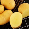 新土豆 商品缩略图0