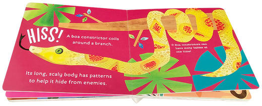 你好科学小世界 雨林动物 英文原版 Hello World Rainforest Animals 幼儿英语科普百科绘本 STEM启蒙图画书 英文版早教认知纸板书 商品图1