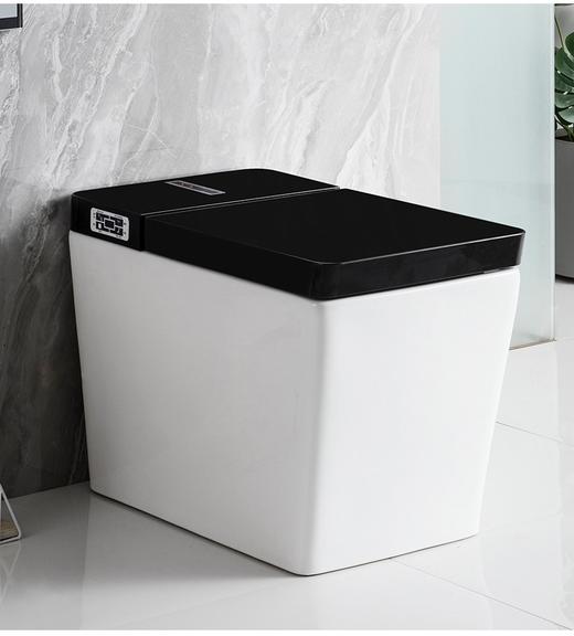 2062A智能坐便器-半黑 商品图2