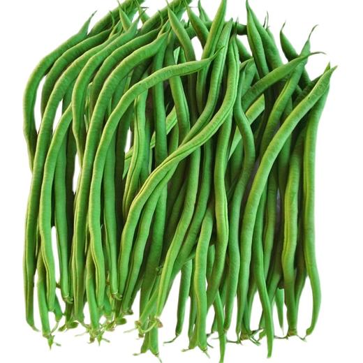 尺莲豆角 商品图1