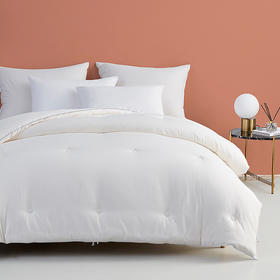 大朴内外大豆纤维牛奶抗菌被 春秋被/冬被 牛奶般丝滑 抗菌又养肤