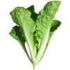 小白菜 商品缩略图1