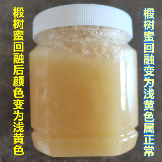 2025新蜜【自营】长白山古椴雪蜜 都市惠助农椴树蜂蜜 商品图3