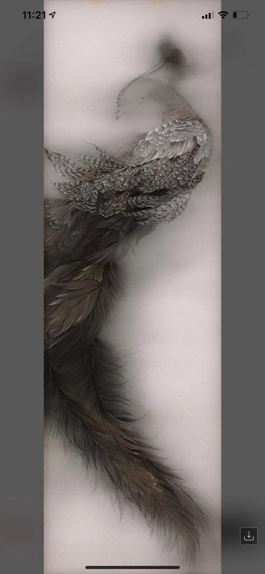 孤芳-游雯迪 商品图0