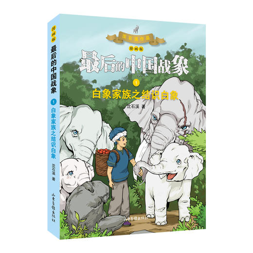 《最后的中国战象》系列之《白象家族》：“动物小说大王”沈石溪经典力作，融入漫画的视觉冲击力， 在感受经典的同时，探索培养孩子们形象思维及逻辑能力 商品图1