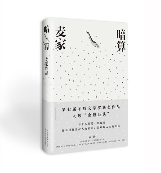 【新经典】麦家小说作品集《人生海海》《暗算》《解密》（全三册） 商品图4