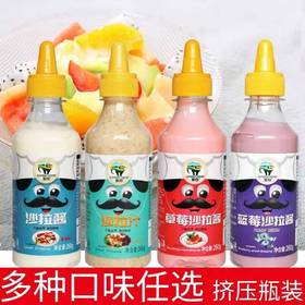 象国沙拉酱260g