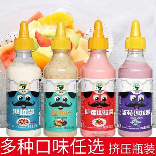 象国沙拉酱260g 商品图0