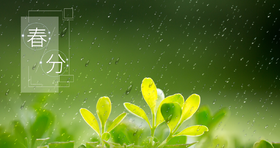  用艾草做春被，舒适还能驱蚊，以艾养生，每个夜晚都好眠 