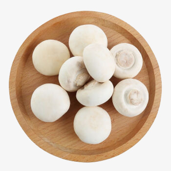 【生鲜预定】白蘑菇 （天然采摘，根部稍带泥巴，介意慎购）