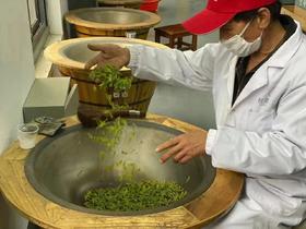 2021年3月22日讲课--茶叶原理深度分析课程（第9-16节课）