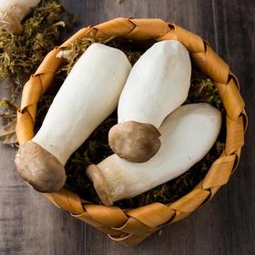 【生鲜预定】杏鲍菇