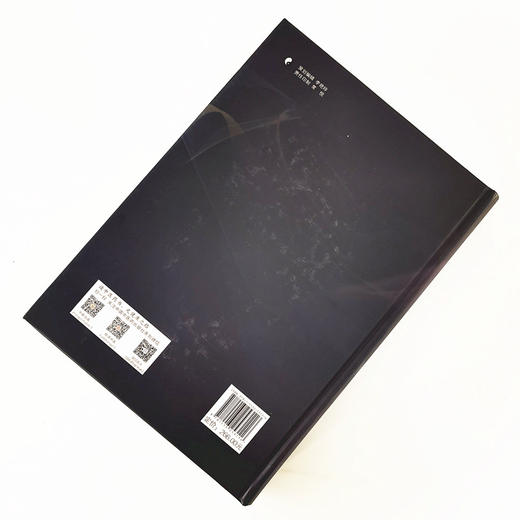 中医免疫病学【范永升, 温成平】 商品图2