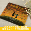 【智慧优选】风到哪里去了 绘本 3-6岁 HL 商品缩略图2
