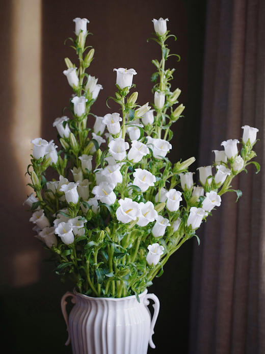 【周四团购】风铃一把39.8元 2人拼团 商品图3