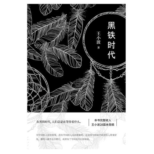 【樊登 x 新经典】王小波时代三部曲 商品图3