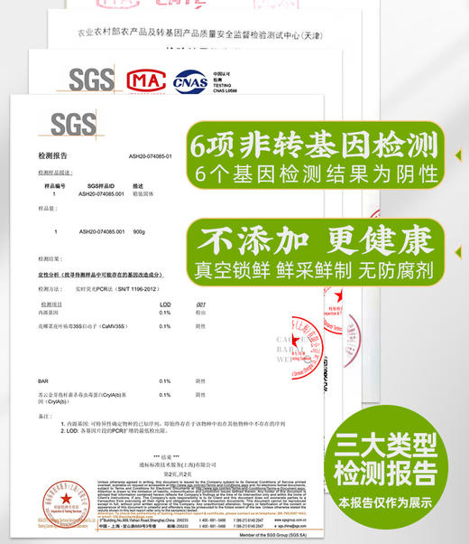 【码帮团购】糯玉米新鲜西双版纳香糯云南小玉米 真空即食粘花糯甜包谷 4斤 商品图2