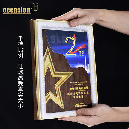 创意金属五角星木质高档实木奖牌定制定做授权牌证书聘书制作奖品 商品图2