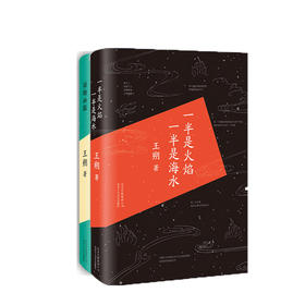 【官方正版】王朔经典作品选集（全2册）