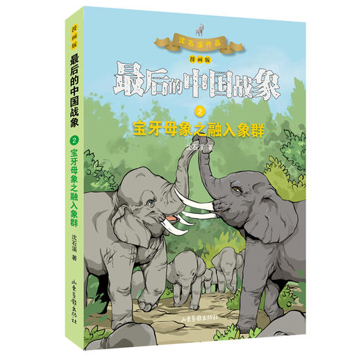 《最后的中国战象》系列之《宝牙母象》：“动物小说大王”沈石溪经典力作，融入漫画的视觉冲击力， 在感受经典的同时，探索培养孩子们形象思维及逻辑能力 商品图2