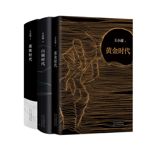 【樊登 x 新经典】王小波时代三部曲 商品图0