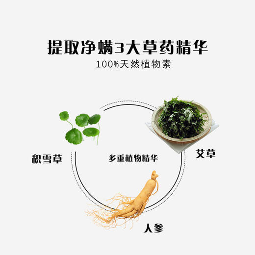 南京同仁堂人参沐浴露清螨祛痘控油保湿一洗告别痘痘背深层清洁排污嫩白植物留香 商品图2