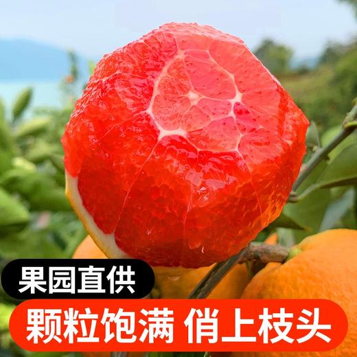 【湖北】中华红血橙 现摘新鲜橙子 当季水果礼盒 红心脐橙整箱 商品图1