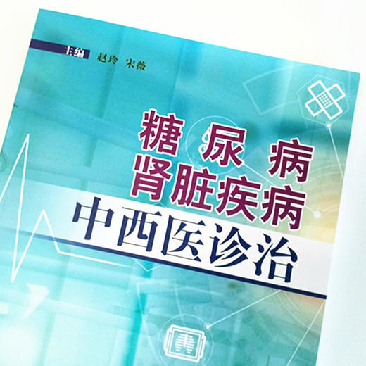 现货 正版【出版社直销】糖尿病肾脏疾病中西医诊治 赵玲 宋薇 编 中国中医药出版社 名医名家经验 商品图3