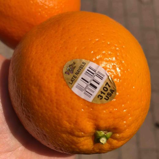 新奇士3107甜橙 很好吃的橙子。 商品图6