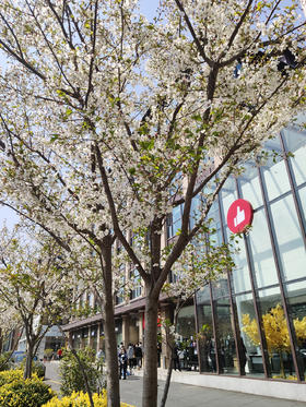 定时开售提醒--支付宝