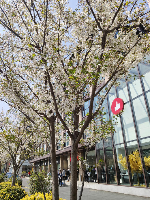 康小米测试定时任务 商品图0