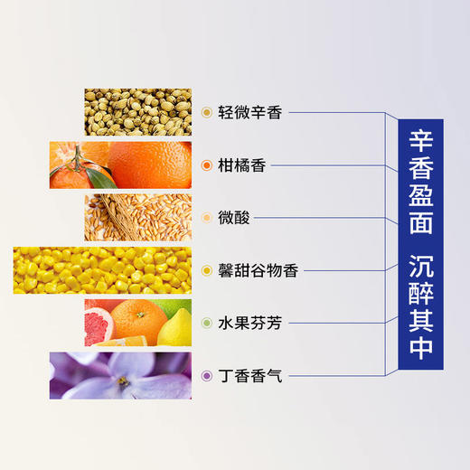 11°P千岛湖比利时小麦啤酒500ml*12听 商品图4