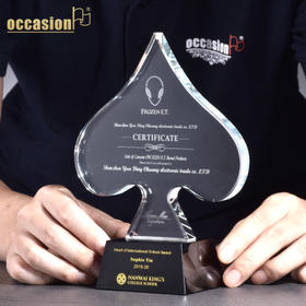 水晶奖杯定制定做高档奖牌创意优秀员工纪念品感谢牌奖座刻字代理