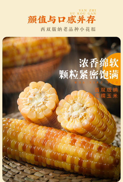【码帮团购】糯玉米新鲜西双版纳香糯云南小玉米 真空即食粘花糯甜包谷 4斤 商品图0