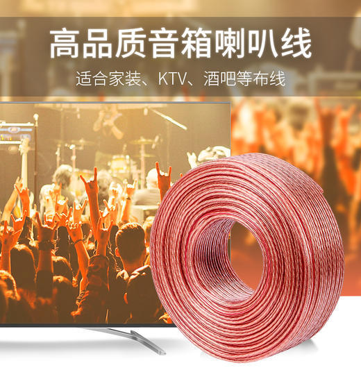 德兴利 音响线 300型 100米 商品图0