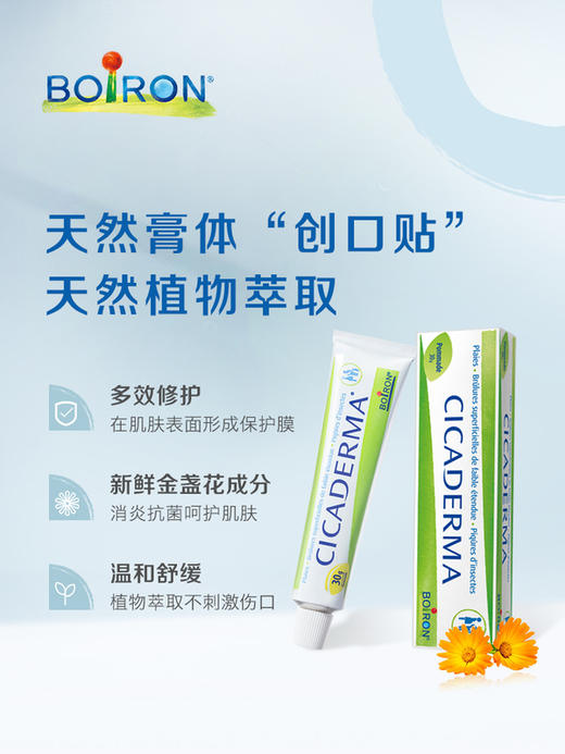 【Boiron宝弘】金盏花多效修复膏宝宝儿童蚊虫叮咬止痒膏温和舒缓30g 商品图1