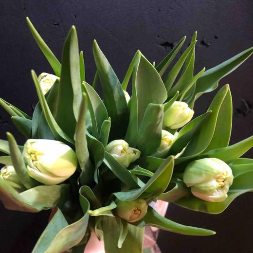 配花-郁金香-重瓣白色-10支  商品图0