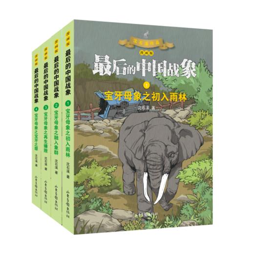《最后的中国战象》系列之《宝牙母象》：“动物小说大王”沈石溪经典力作，融入漫画的视觉冲击力， 在感受经典的同时，探索培养孩子们形象思维及逻辑能力 商品图0