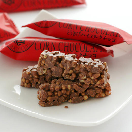 日本北海道HORI人气零食 hori巧克力棒 100g（003312） 商品图3