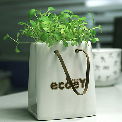 【为思礼合集】DIY办公室桌面生态绿植 创艺生活植栽 商品图3
