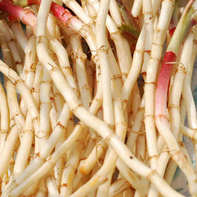 【生鲜预定】折耳根