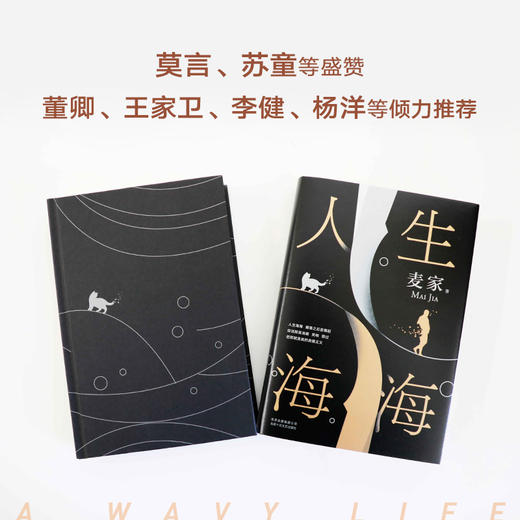 【新经典】麦家小说作品集《人生海海》《暗算》《解密》（全三册） 商品图3