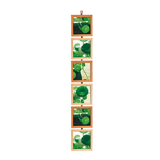 【为思礼合集】台湾金音 旋转风车组合相框 橫框直框 圣诞礼物 商品图9