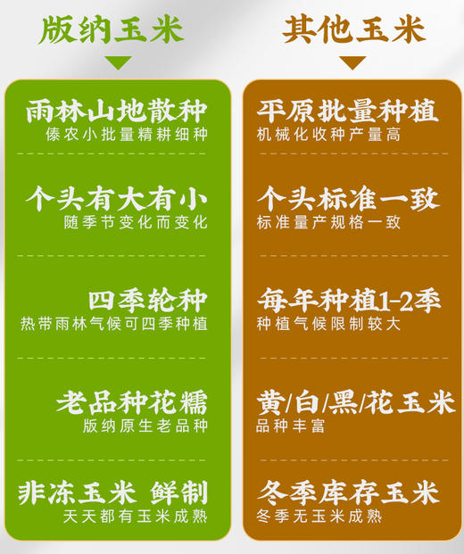 【码帮团购】糯玉米新鲜西双版纳香糯云南小玉米 真空即食粘花糯甜包谷 4斤 商品图4