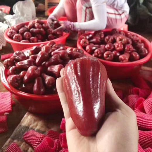 台湾黑金刚莲雾 特级蜜风铃莲雾 孕妇新鲜莲雾 顺丰空运包邮 商品图3