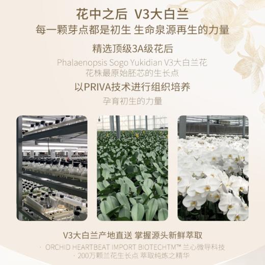 nywow o 兰花精粹修护兰花油 15ML [D类] 商品图10