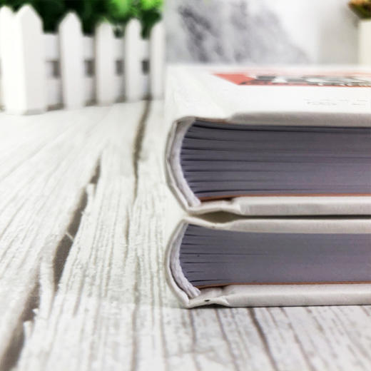 像院长一样思考——DRG下非临床服务的实战技能十八式 商品图3