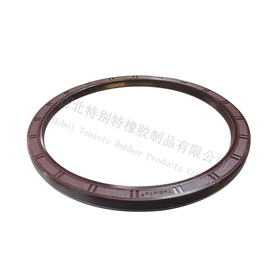 特别特斯太尔平衡轴油封160*185*10.5（16018510.5）160x185x10.5