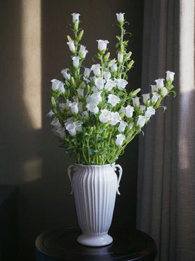 【周四团购】风铃一把39.8元 2人拼团